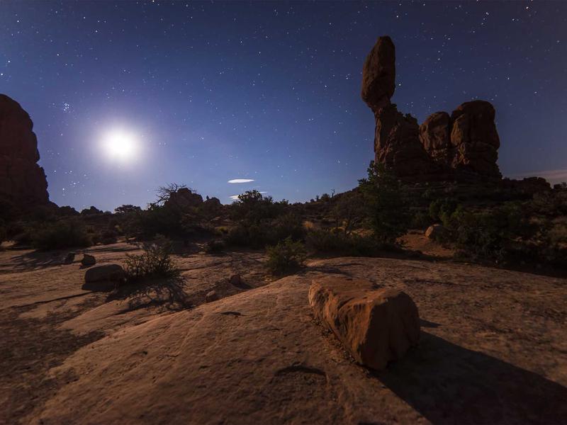 直播伴侣<br>推流监控与弹幕互动管理